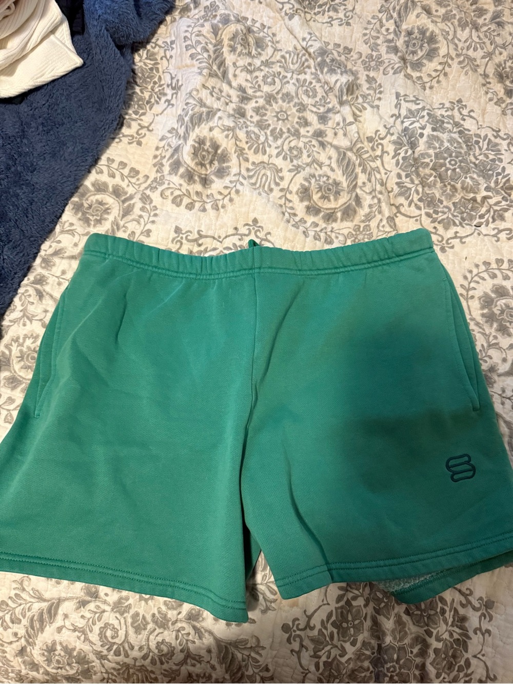 Aritzia Green Athletic Shorts